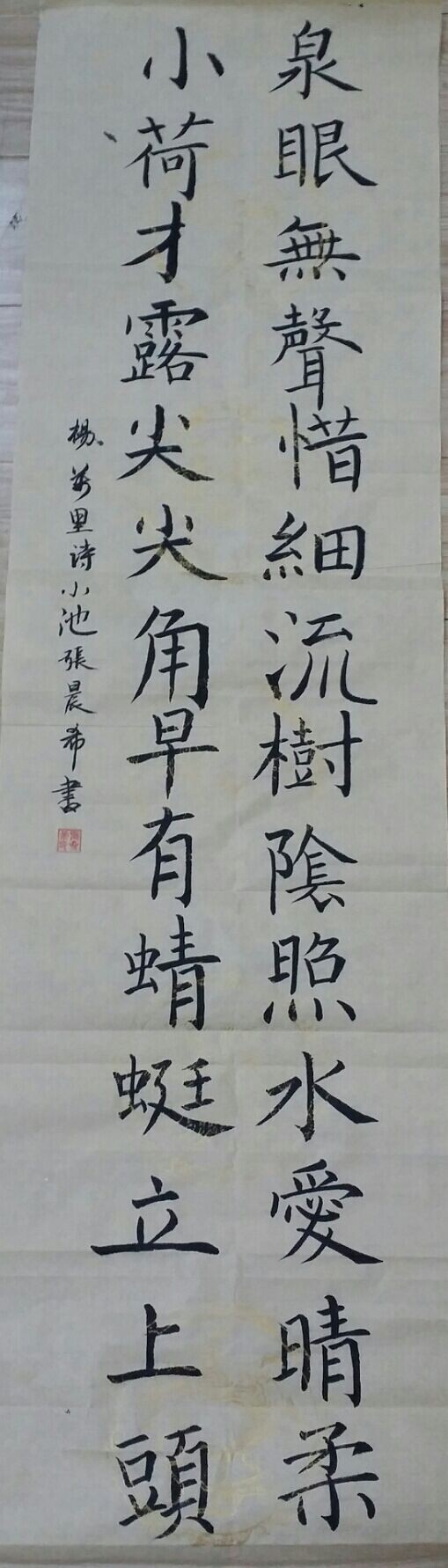 封浜小学 张晨希 《小池》