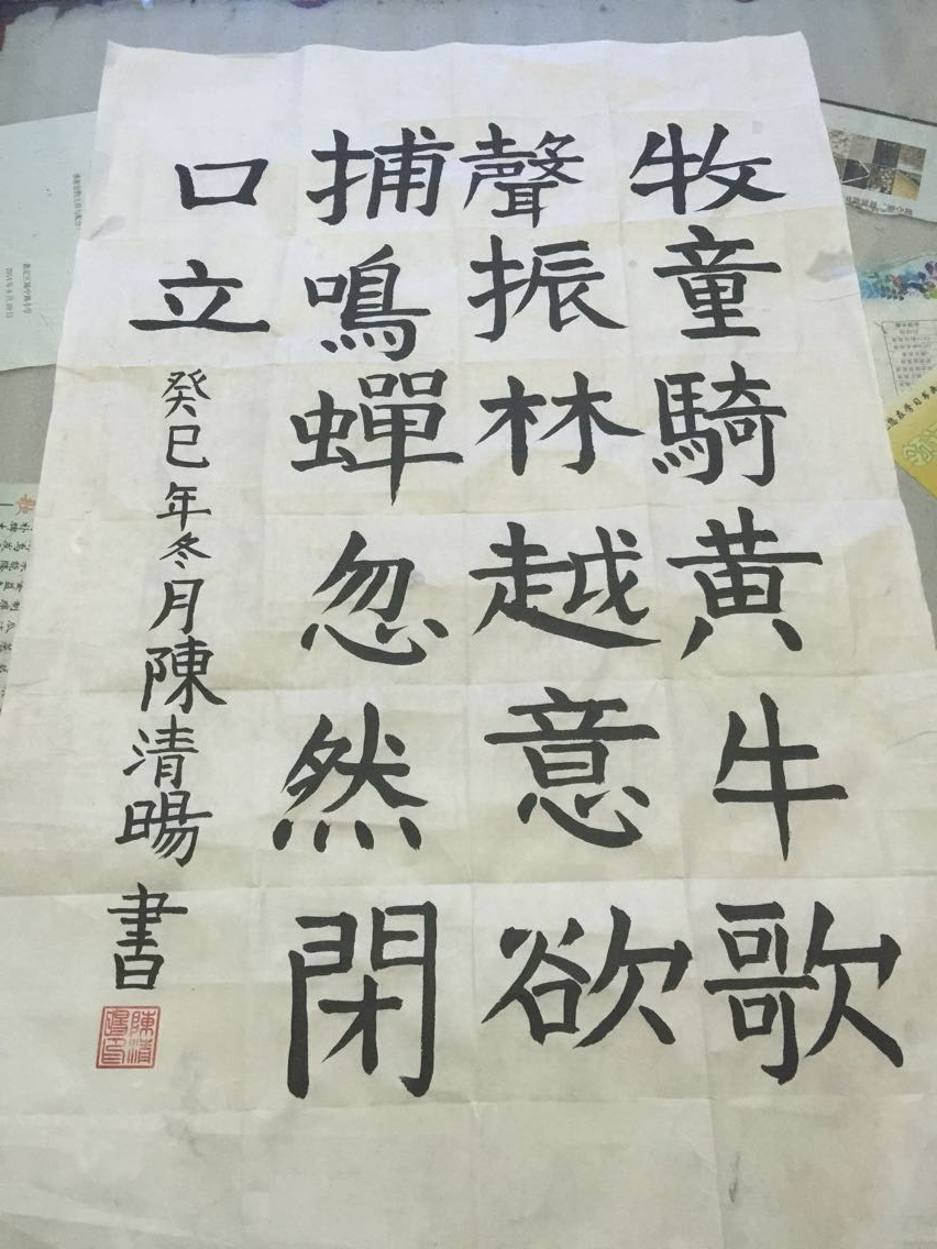 城中路小学 陈清旸 《所见》