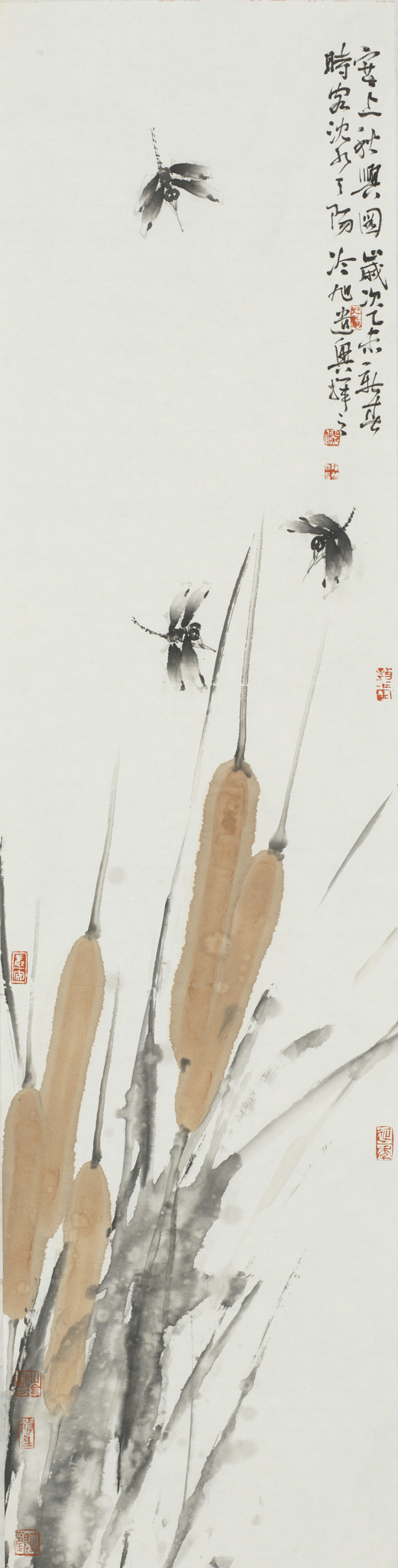 冷旭