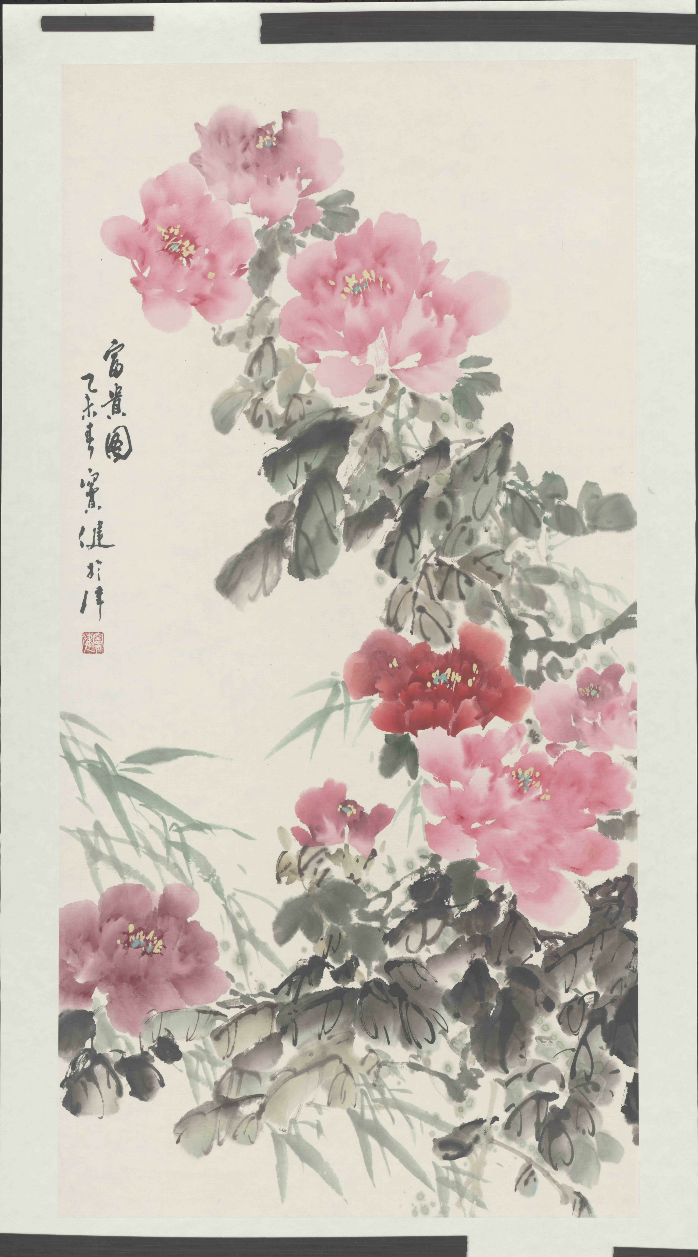 窦健