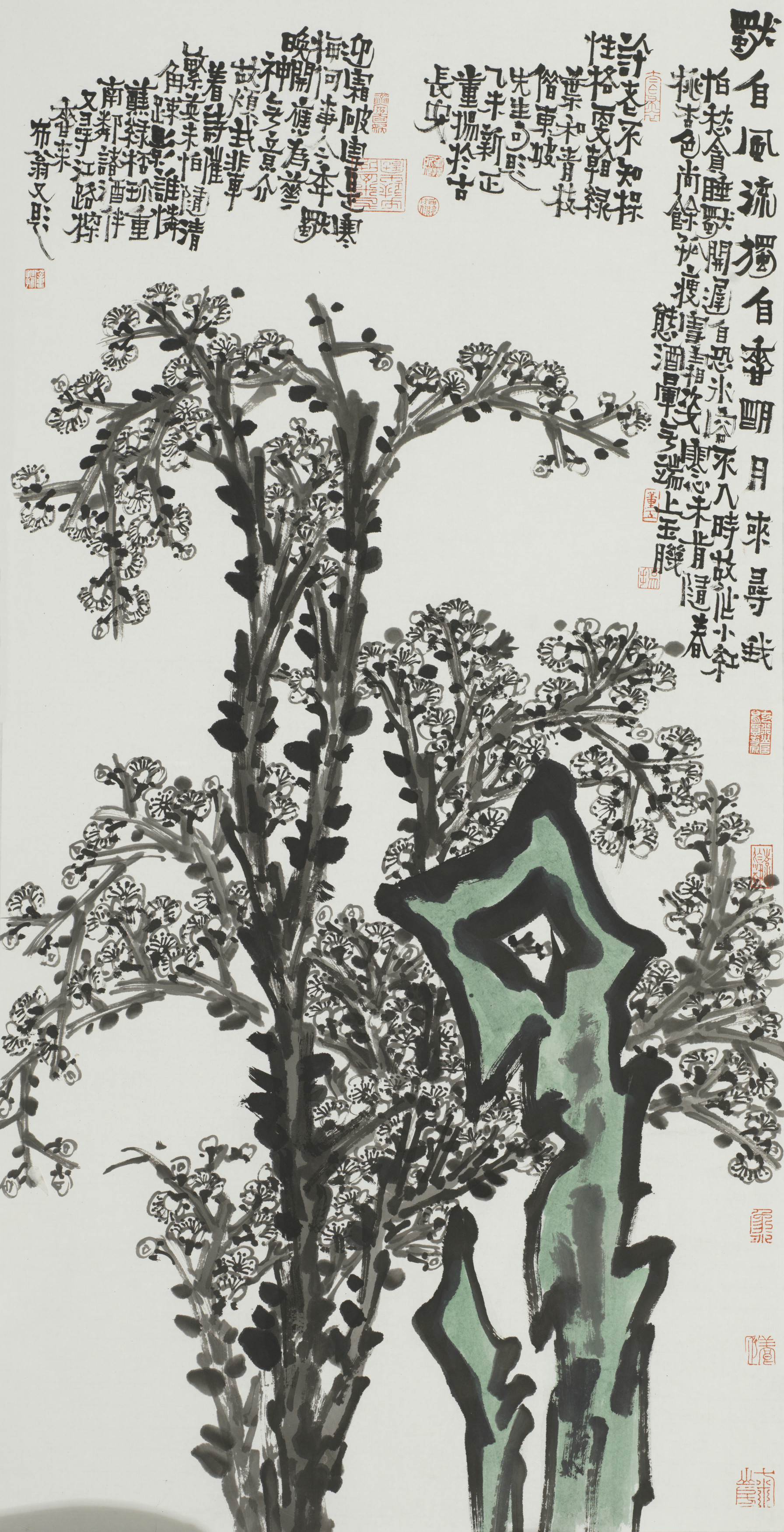 董扬