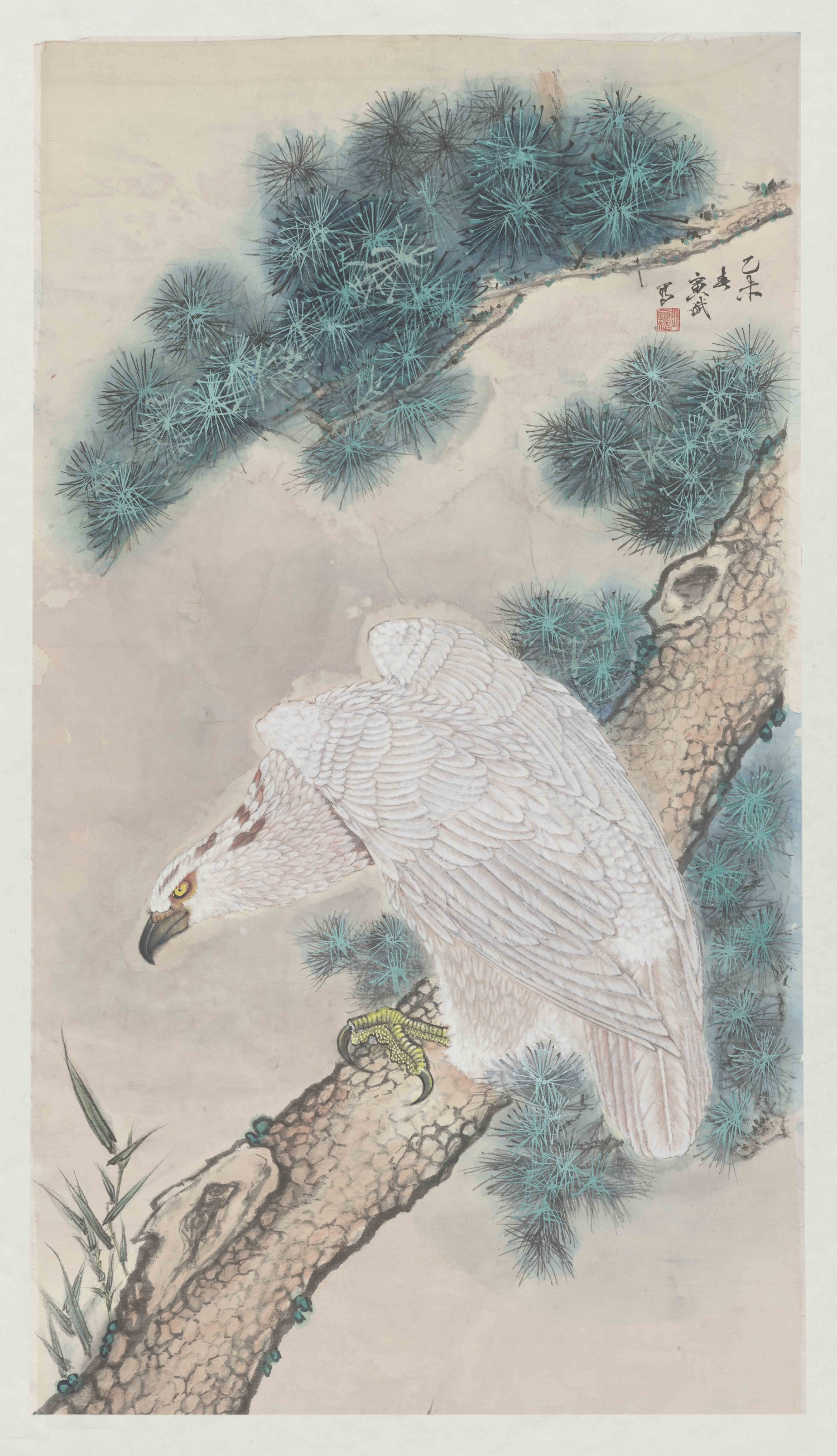张寅斌
